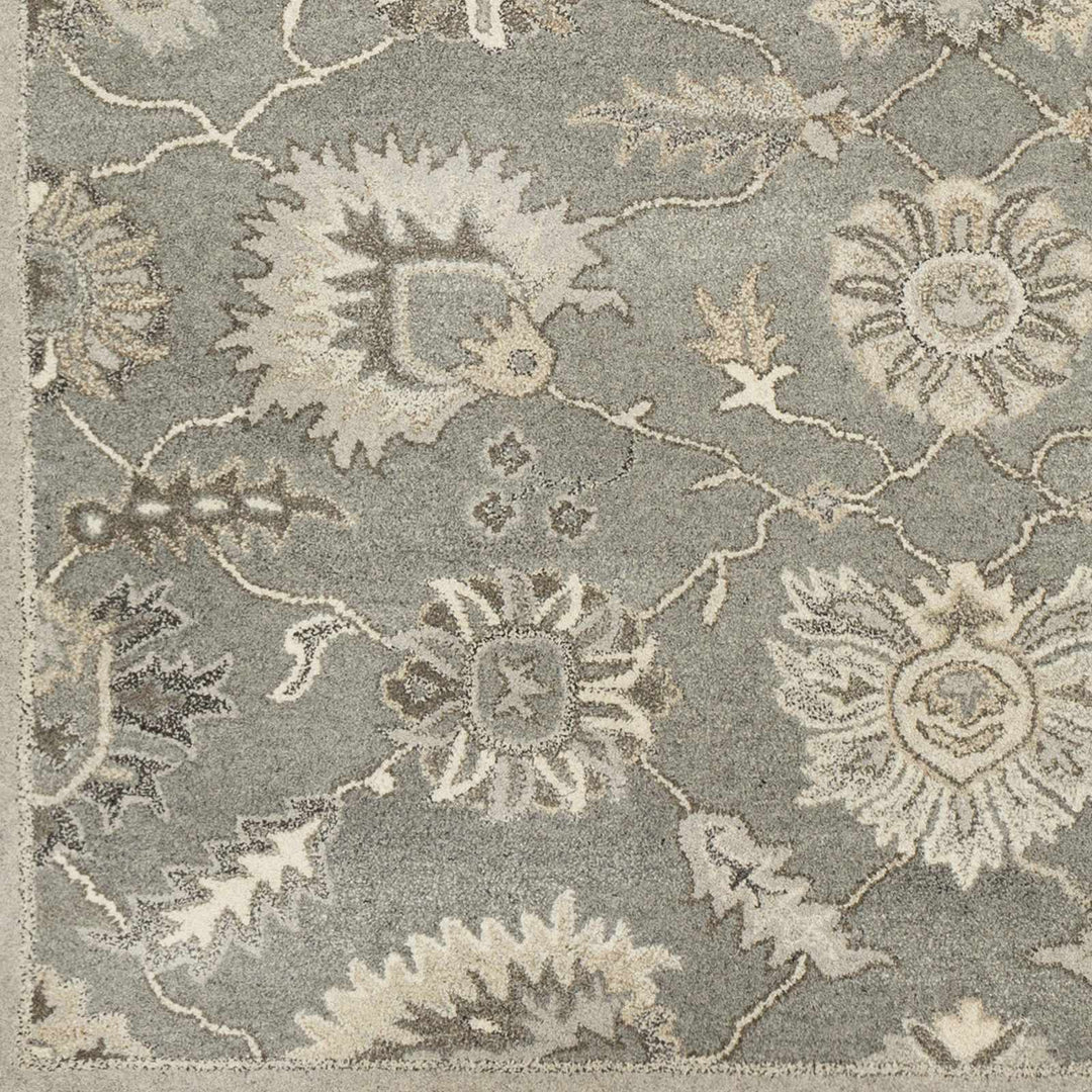 Dulles Traditional Style Taupe And Beige Hand Tufted Wool Rug - The Rug Decor
