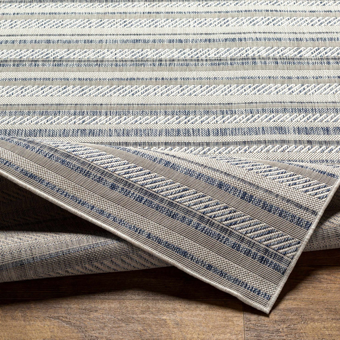 Dumalag Contemporary Style Blue And Beige Outdoor Rug - The Rug Decor
