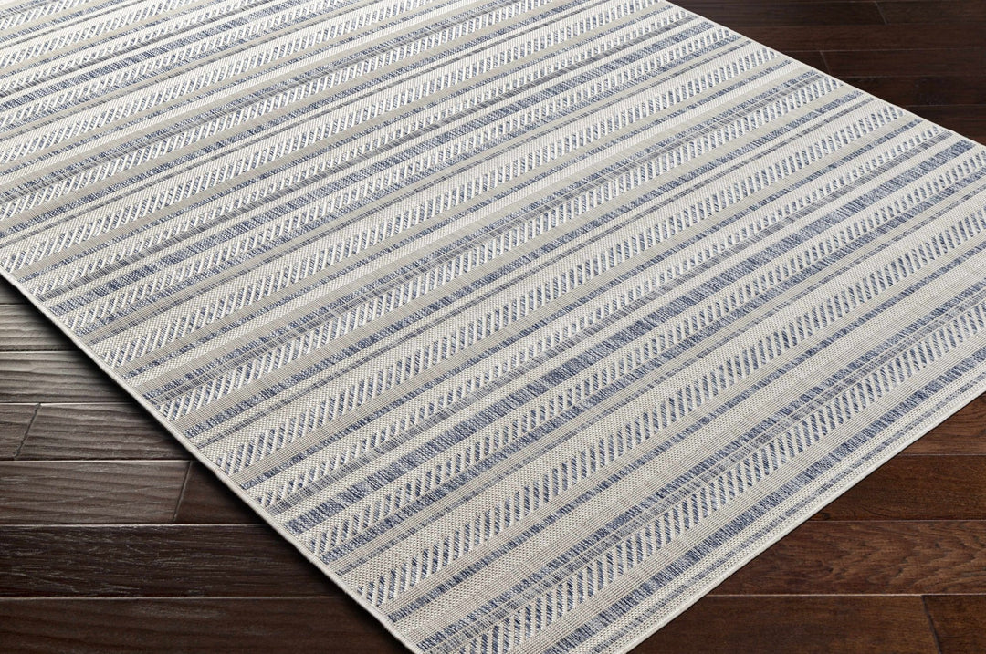 Dumalag Contemporary Style Blue And Beige Outdoor Rug - The Rug Decor