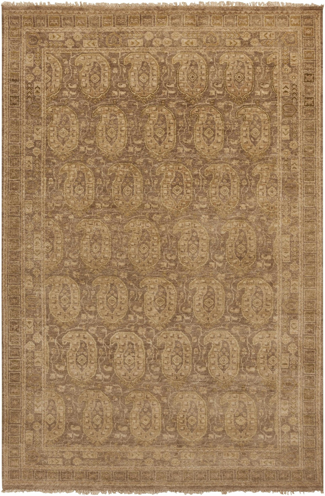Dundonald Traditional Style Tan Hand Knotted Wool Area Rug - The Rug Decor