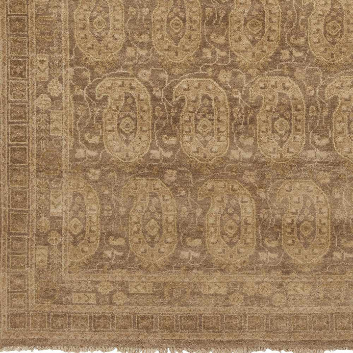 Dundonald Traditional Style Tan Hand Knotted Wool Area Rug - The Rug Decor