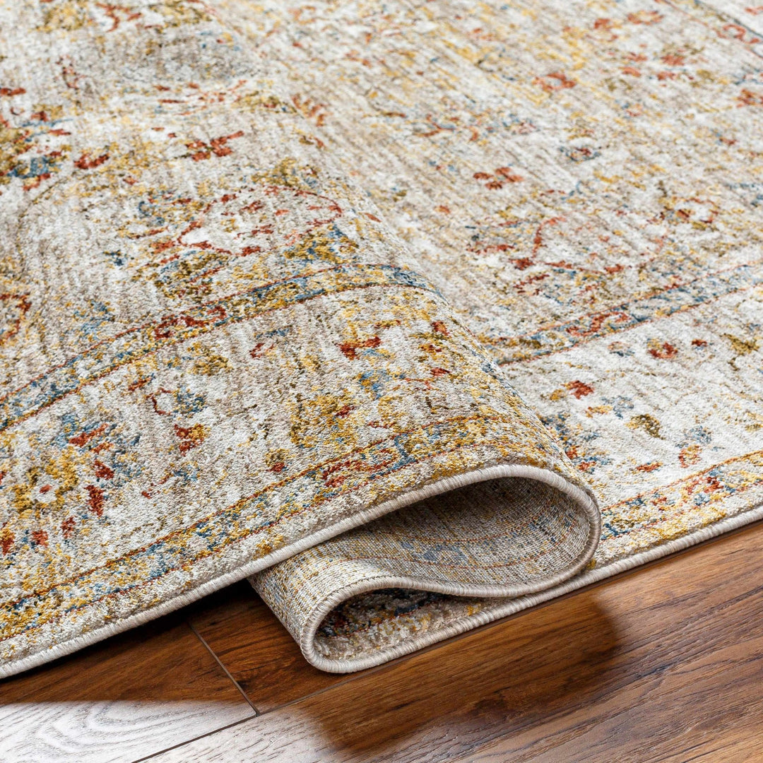 Duong Traditional Style Beige And Rust Area Rug - The Rug Decor