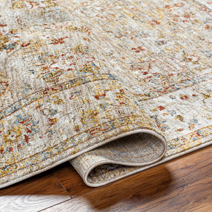 Duong Traditional Style Beige And Rust Area Rug - The Rug Decor
