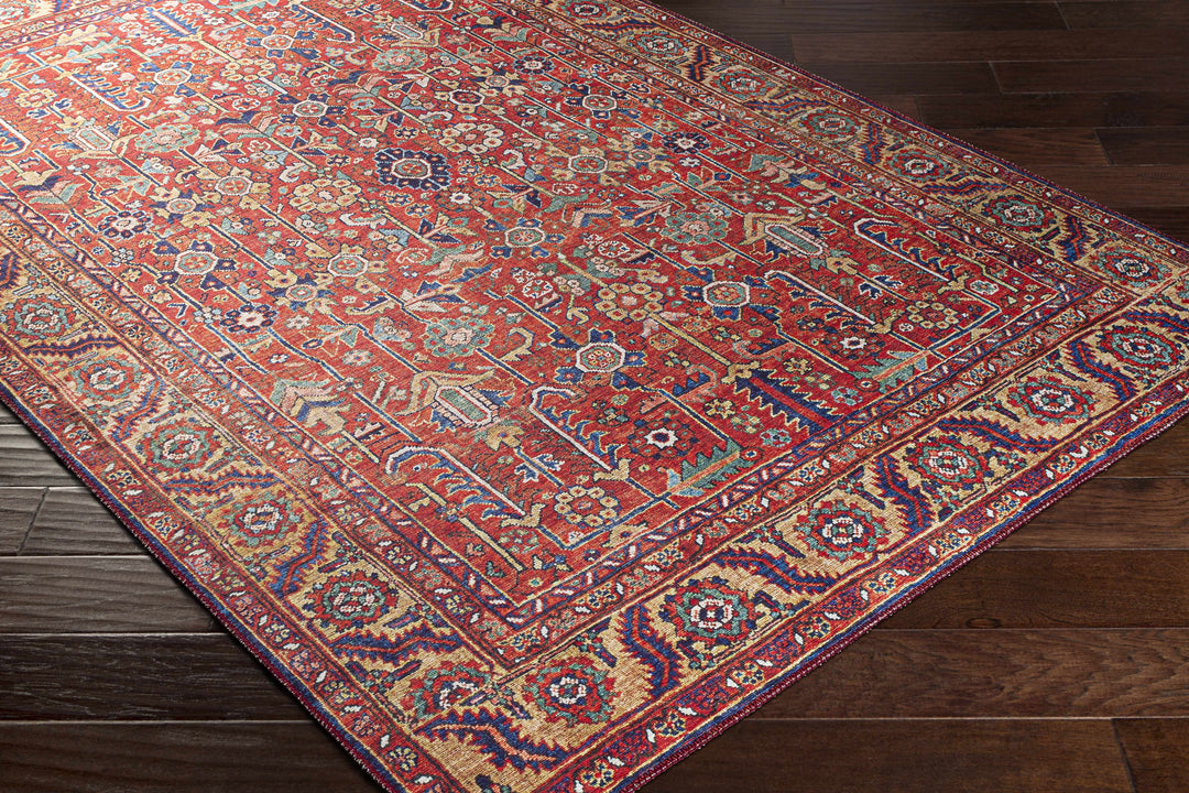 Edwardsburg Traditional Tribal Design Red And Blue Area Rug