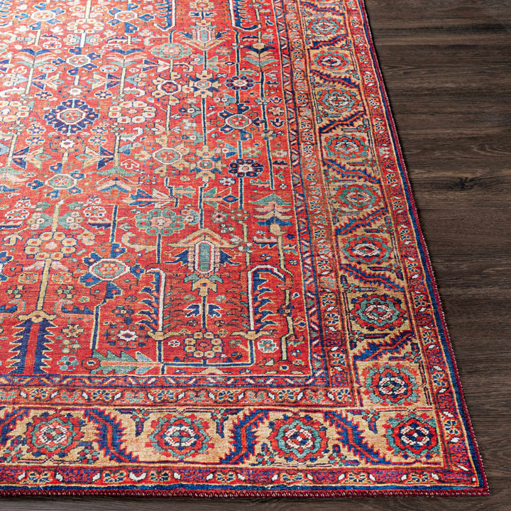 Edwardsburg Traditional Tribal Design Red And Blue Area Rug
