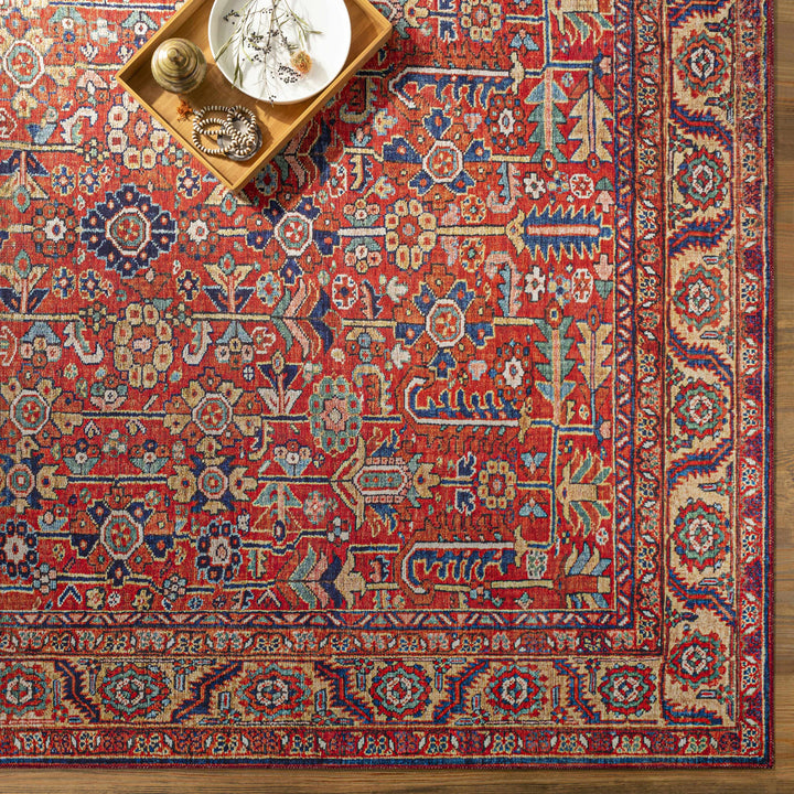 Edwardsburg Traditional Tribal Design Red And Blue Area Rug