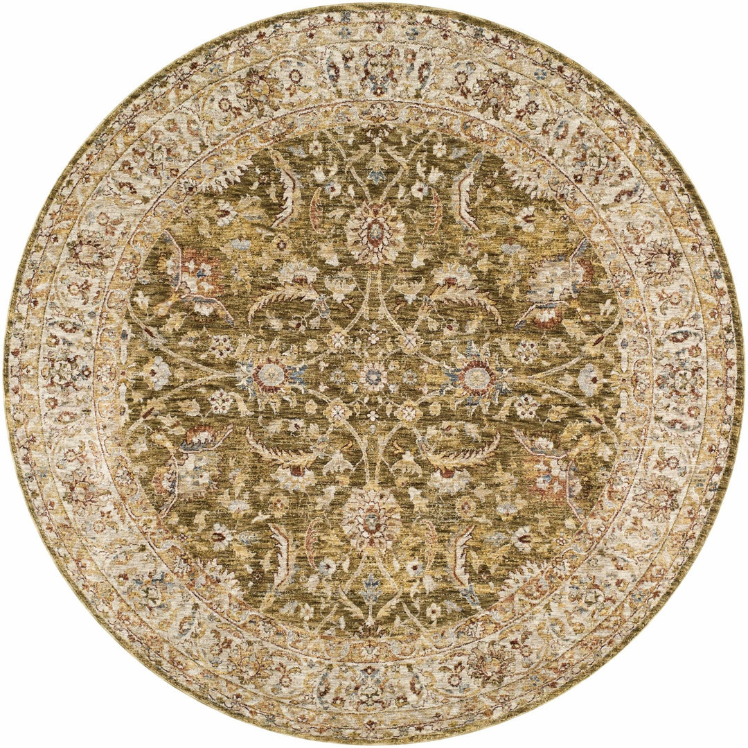 Dyan Traditional Style Olive And Beige Rug - The Rug Decor