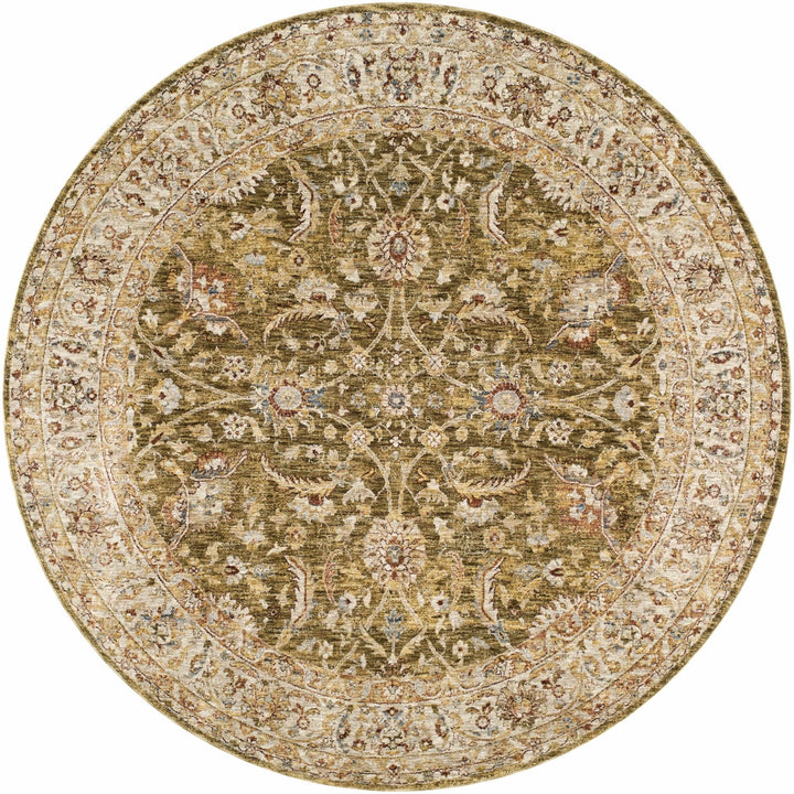 Dyan Traditional Style Olive And Beige Rug - The Rug Decor