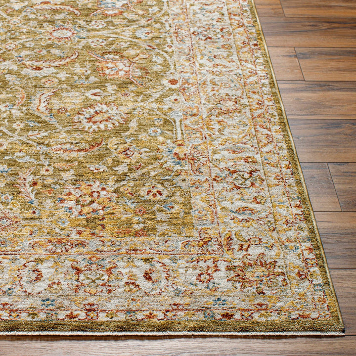 Dyan Traditional Style Olive And Beige Rug - The Rug Decor