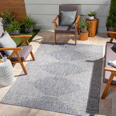 Contemporary Tribal Design Blue, Beige and Gray outdoor safe Area Rug