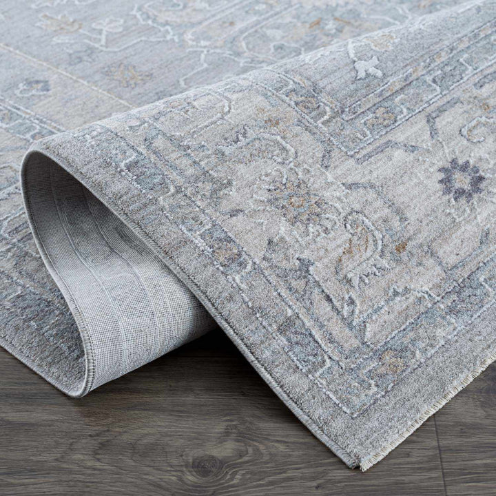 Earlsfield Traditional Medallion Design Blue Area Rug - The Rug Decor