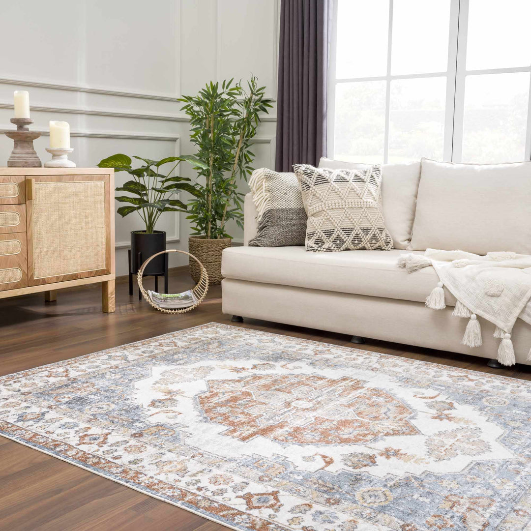 Ebbe Traditional Style Ivory And Gray Washable Rug - The Rug Decor