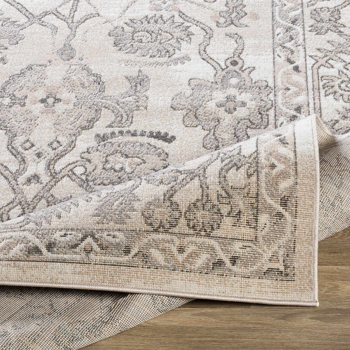 Eckelson Traditional Style Beige And Gray Area Rug Area Rug