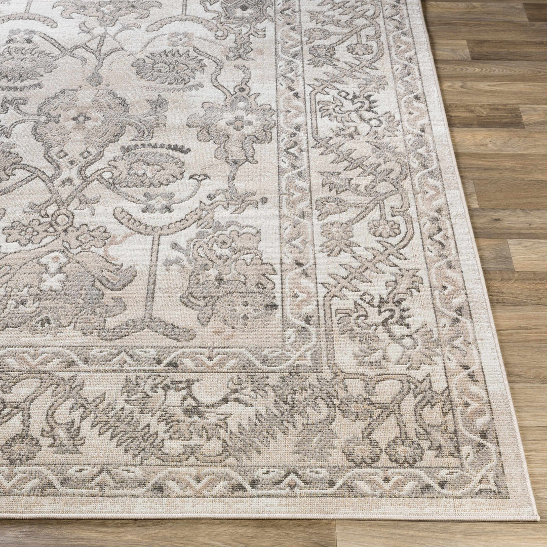Eckelson Traditional Style Beige And Gray Area Rug Area Rug