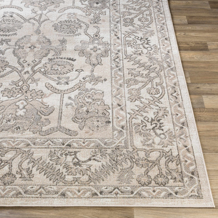 Eckelson Traditional Style Beige And Gray Area Rug Area Rug