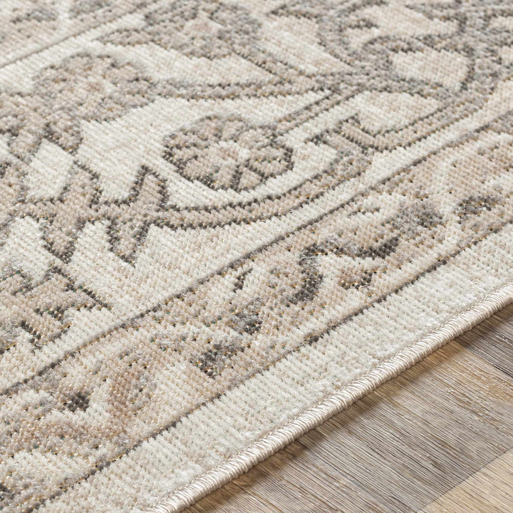 Eckelson Traditional Style Beige And Gray Area Rug Area Rug