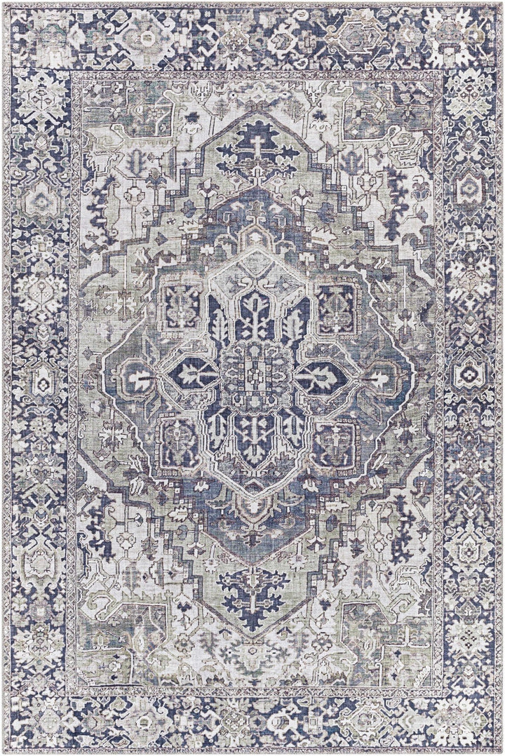 Edmonston Traditional Serapi Design Charcoal Area Rug - The Rug Decor