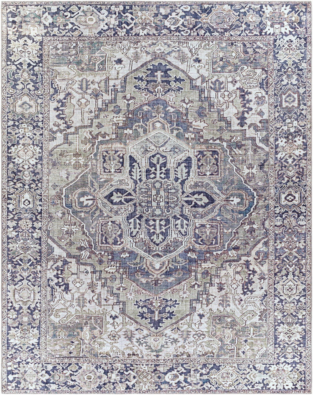 Edmonston Traditional Serapi Design Charcoal Area Rug - The Rug Decor