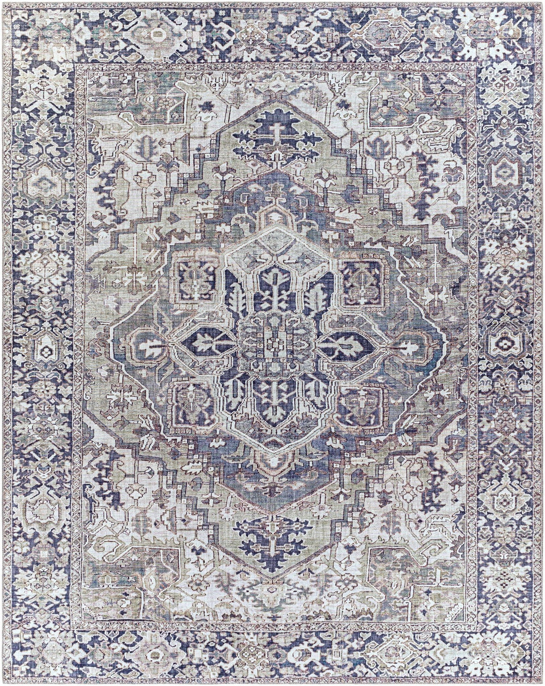 Edmonston Traditional Serapi Design Charcoal Area Rug - The Rug Decor