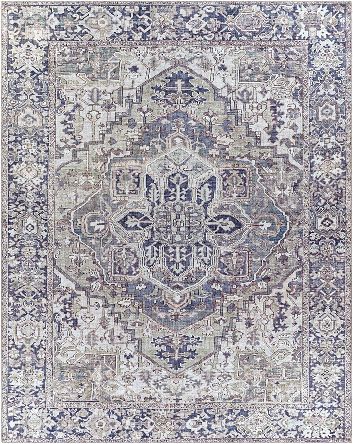 Edmonston Traditional Serapi Design Charcoal Area Rug - The Rug Decor