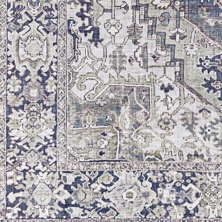 Edmonston Traditional Serapi Design Charcoal Area Rug - The Rug Decor