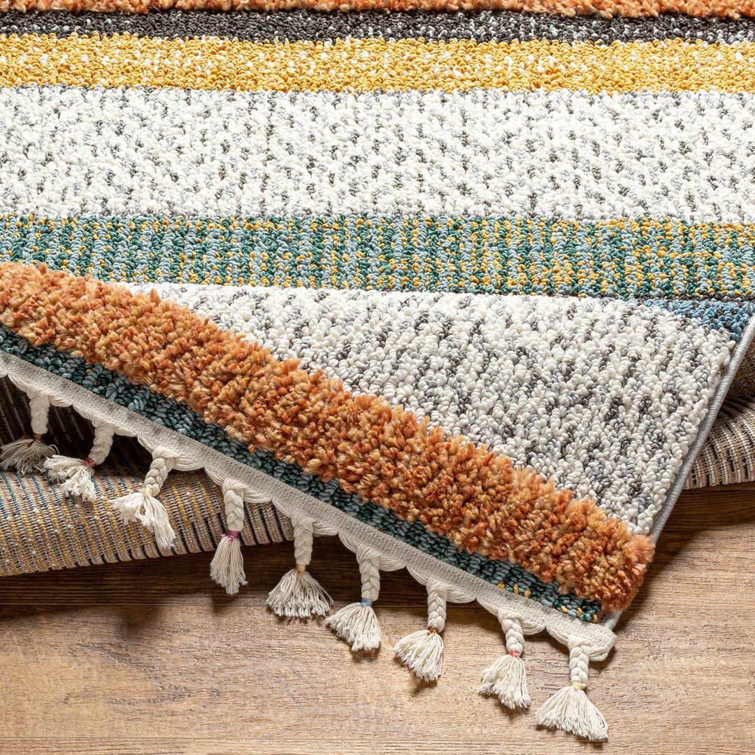 Edmundston Modern style Multicolor Area Rug - The Rug Decor