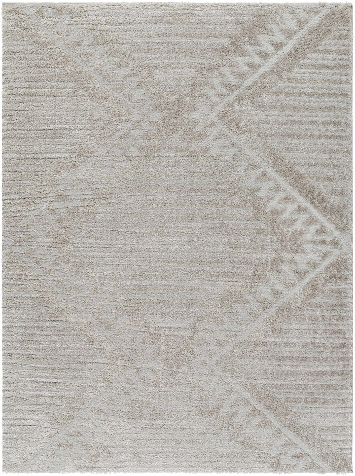 Edsel Gray Contemporary Style Area Rug - The Rug Decor