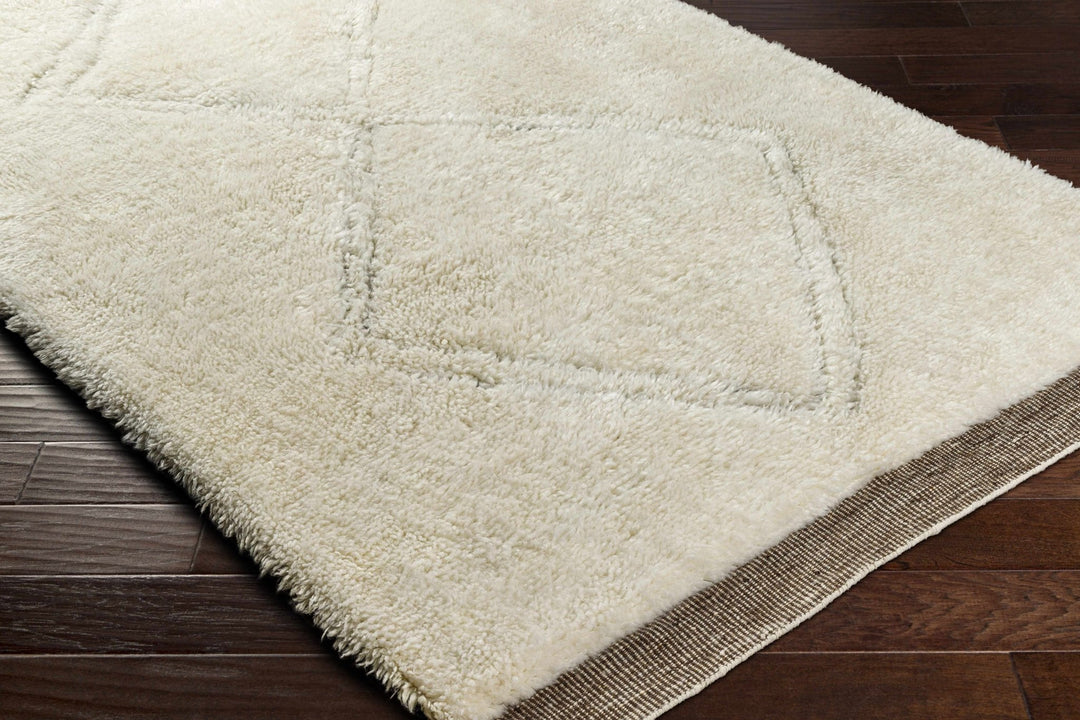 Eguia Bohemian Style Beige Hand Knotted Wool Rug - The Rug Decor