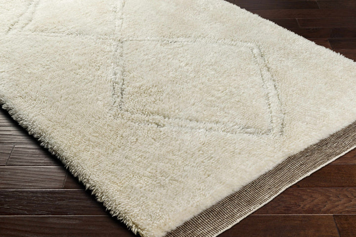 Eguia Bohemian Style Beige Hand Knotted Wool Rug - The Rug Decor