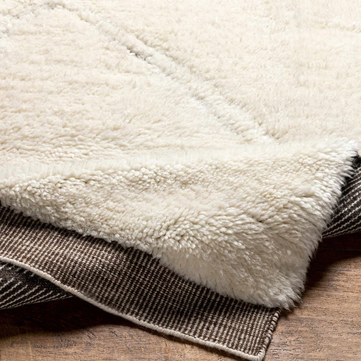 Eguia Bohemian Style Beige Hand Knotted Wool Rug - The Rug Decor