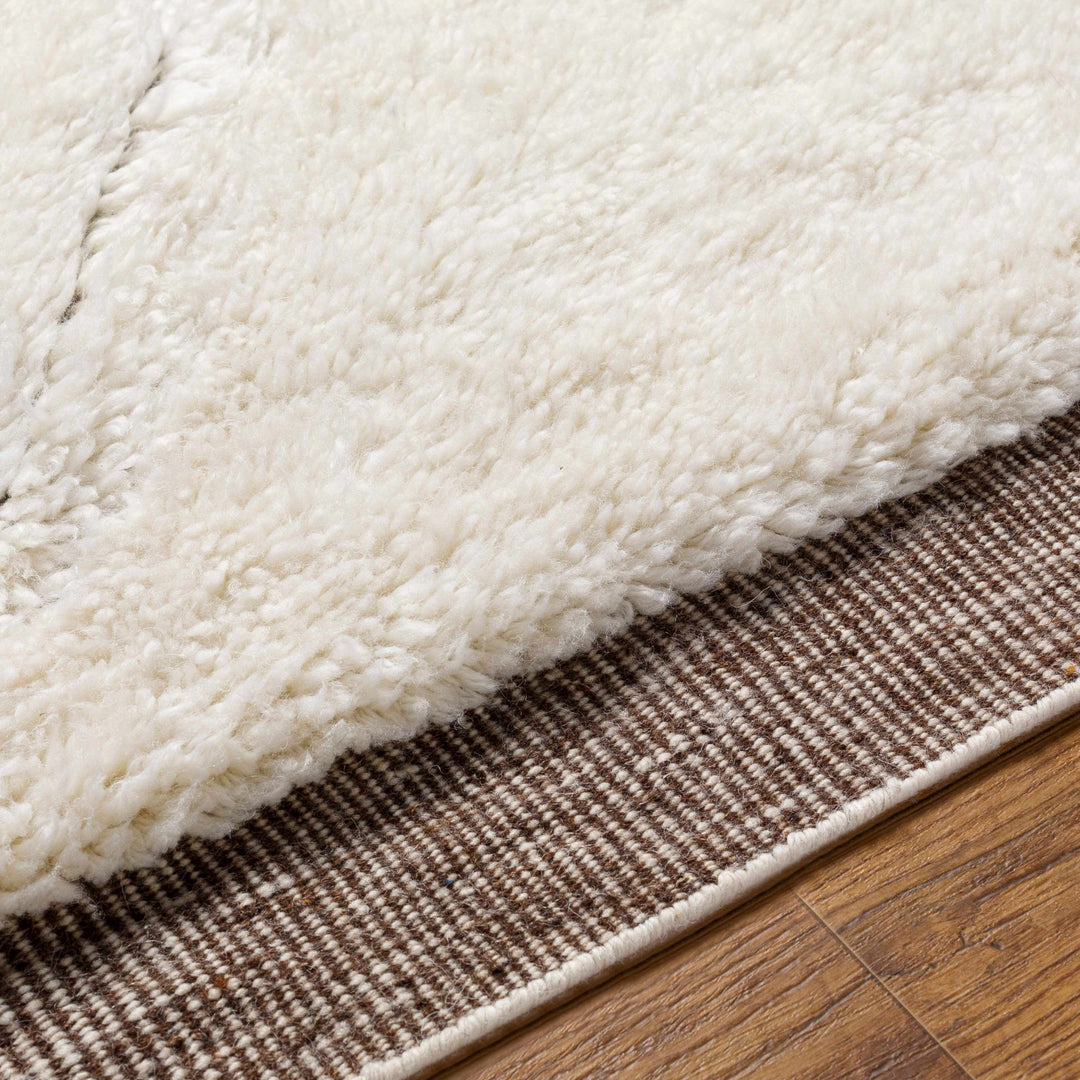 Eguia Bohemian Style Beige Hand Knotted Wool Rug - The Rug Decor
