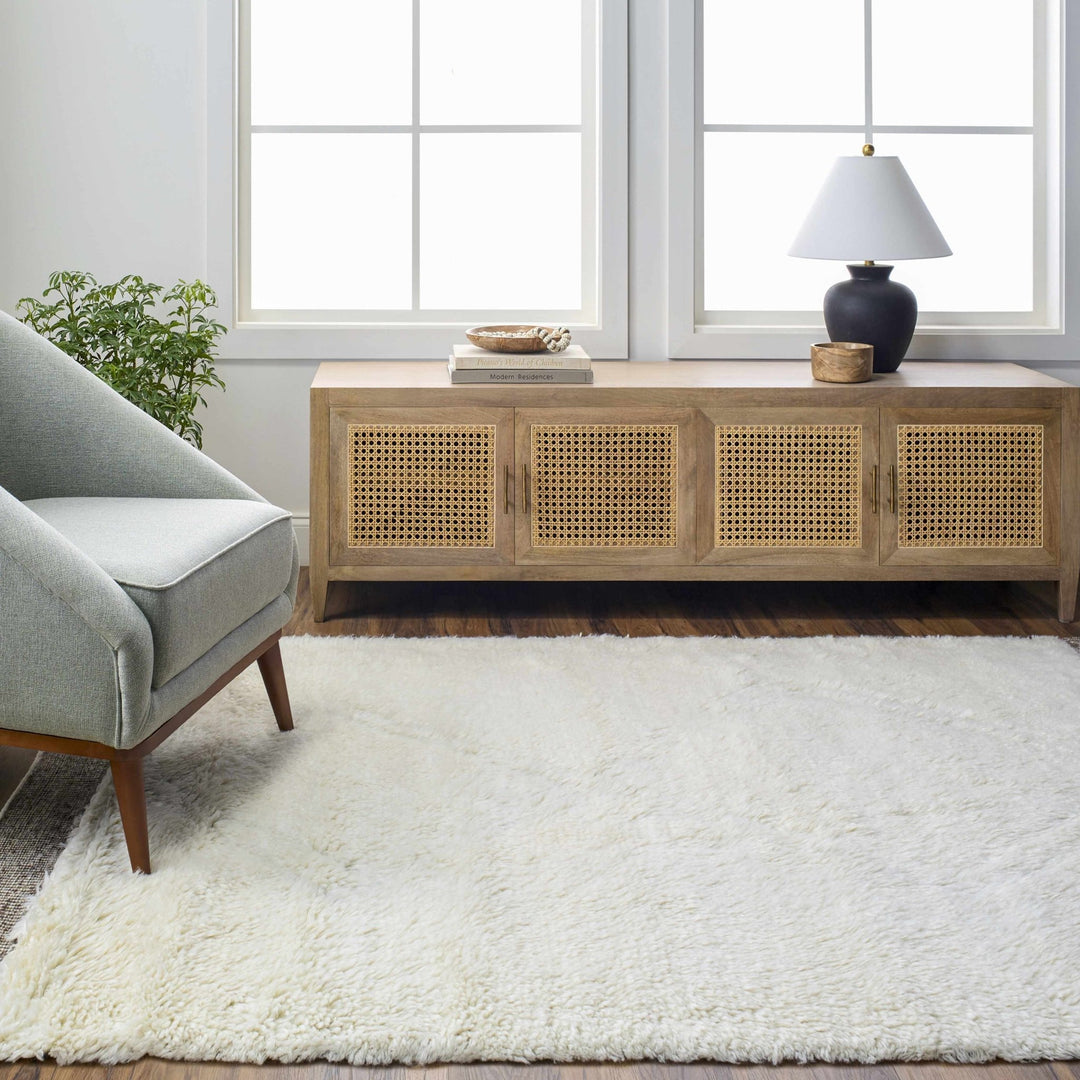 Eguia Bohemian Style Beige Hand Knotted Wool Rug - The Rug Decor