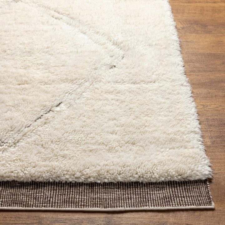Eguia Bohemian Style Beige Hand Knotted Wool Rug - The Rug Decor