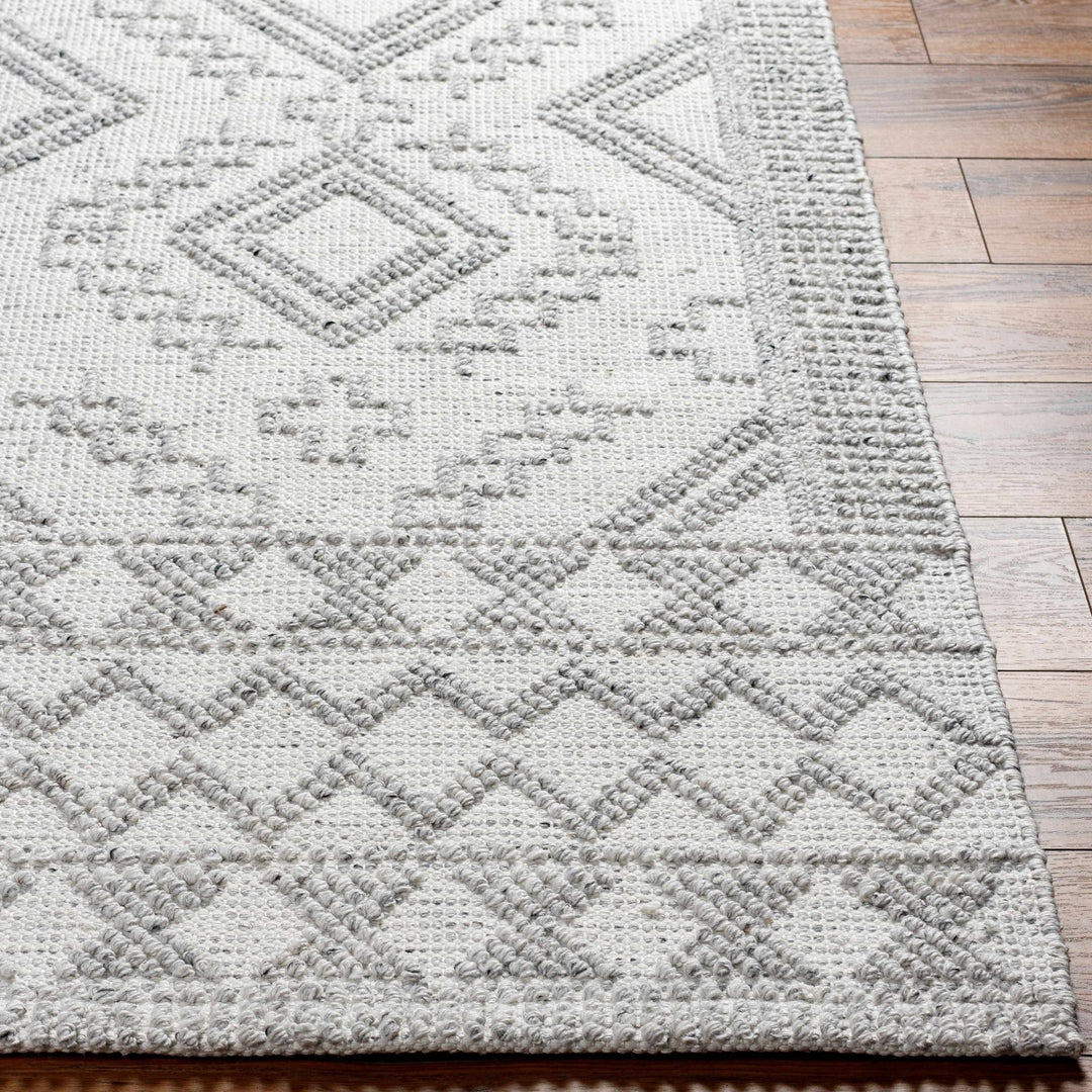 Elin Bohemian Transitional Ivory Hand Woven Rug - The Rug Decor