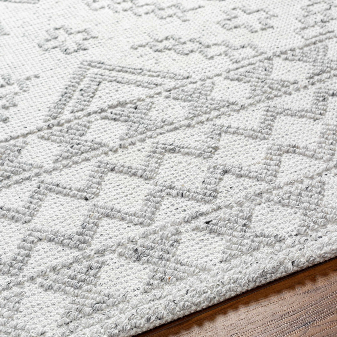 Elin Bohemian Transitional Ivory Hand Woven Rug - The Rug Decor