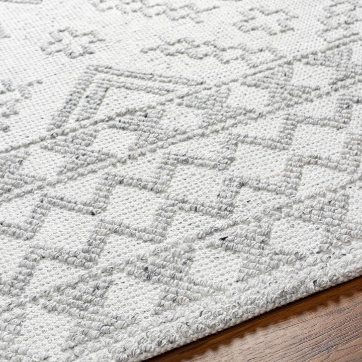 Elin Bohemian Transitional Ivory Hand Woven Rug - The Rug Decor