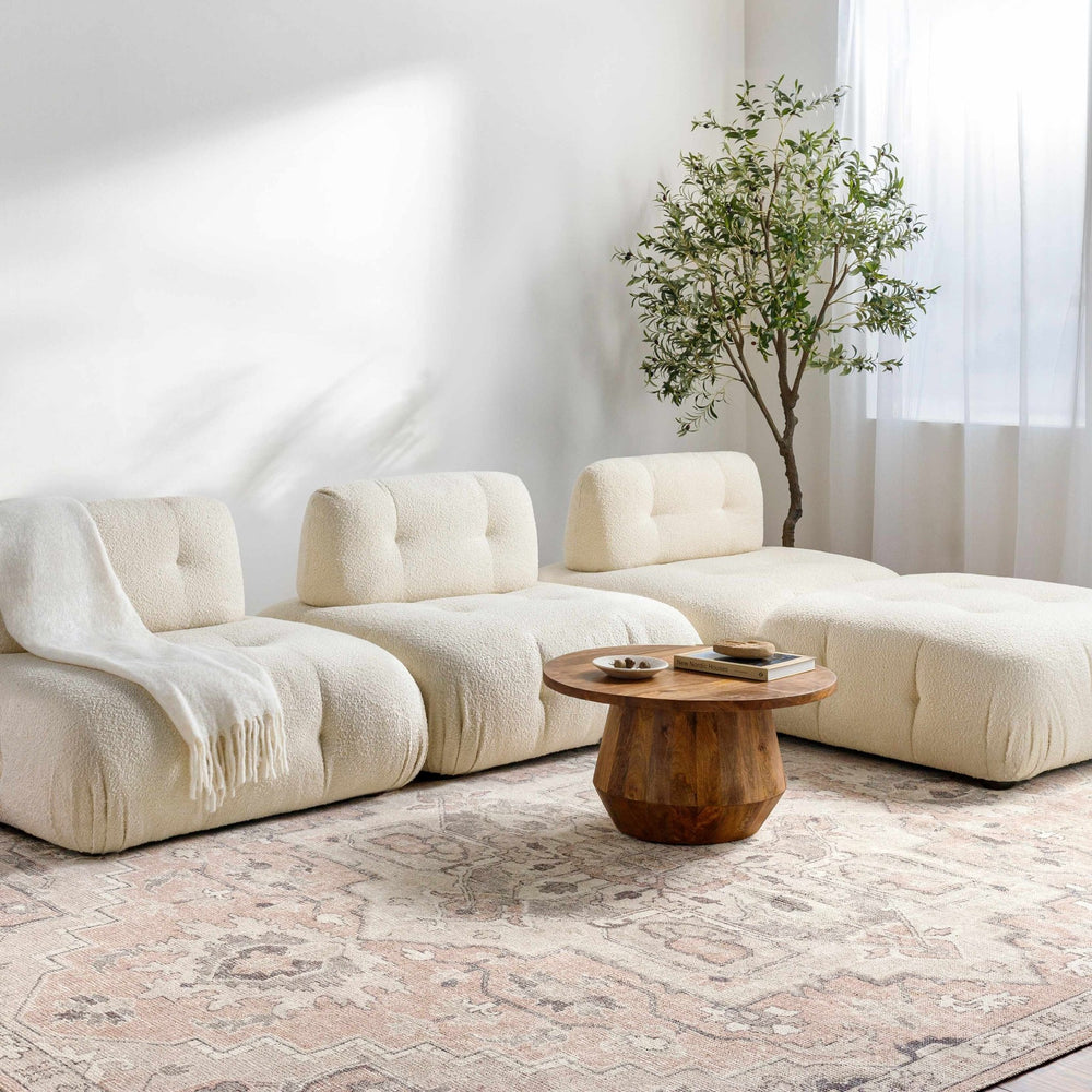 Elle Traditional Style Beige And Peach Area Rug - The Rug Decor