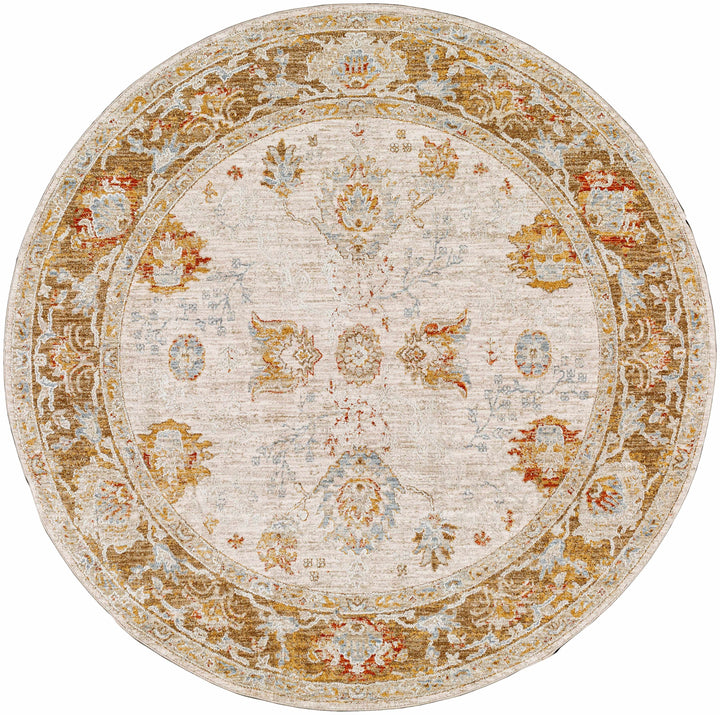 Elloree Traditional Style Ivory And Brown Area Rug