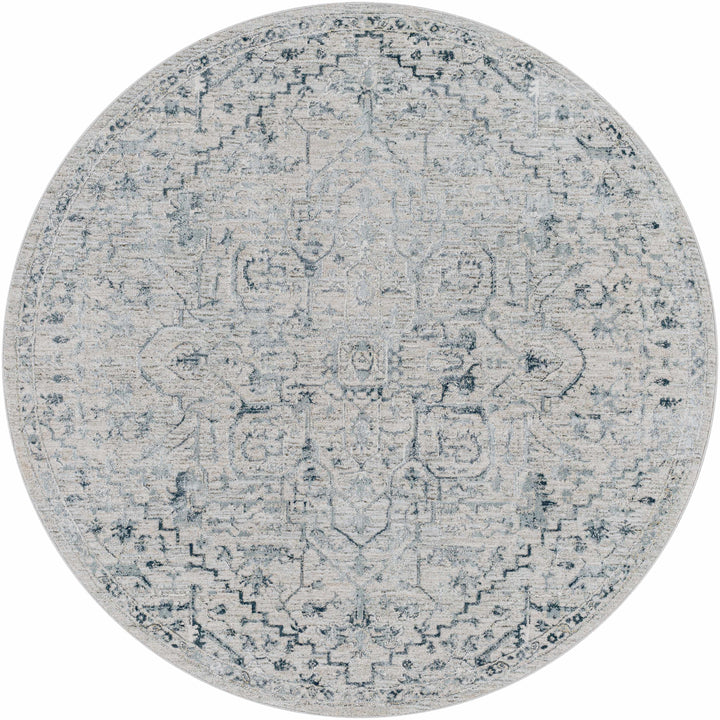 Embsay Traditional Medallion Design Gray And Blue Area Rug