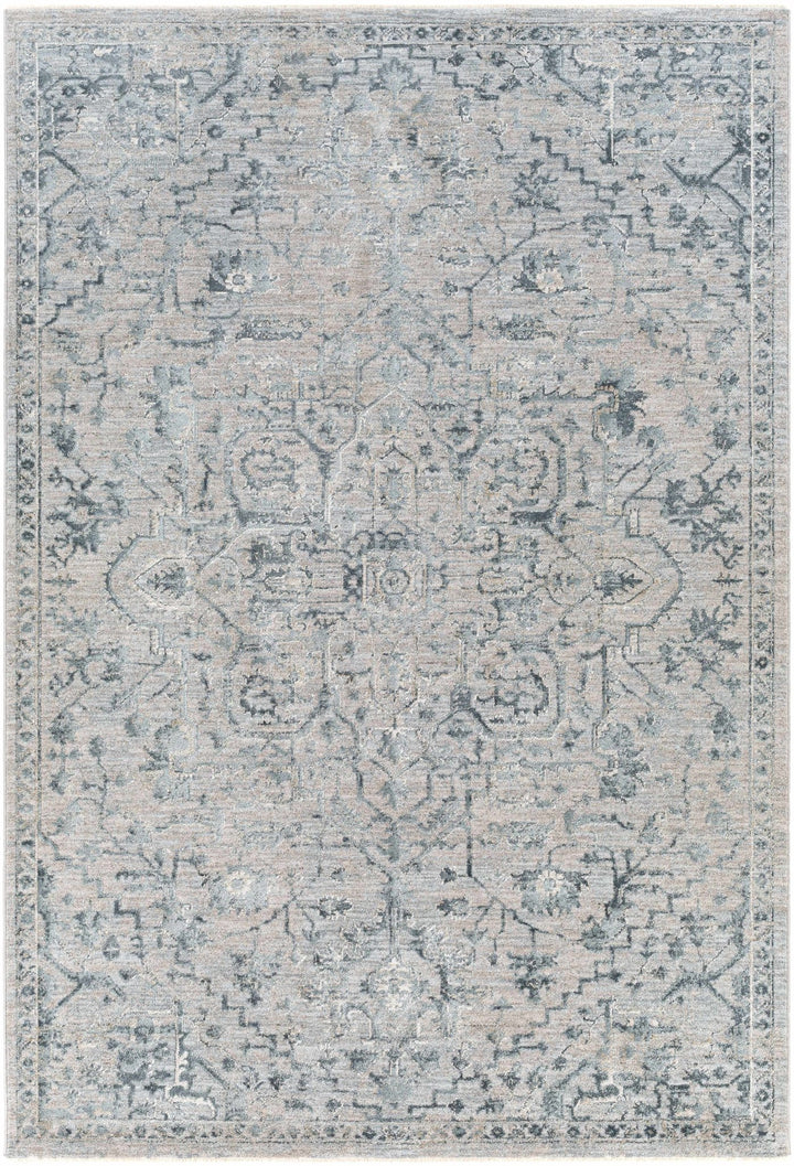 Embsay Traditional Medallion Design Gray And Blue Area Rug - The Rug Decor