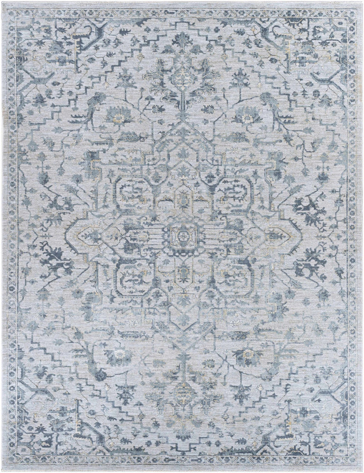 Embsay Traditional Medallion Design Gray And Blue Area Rug - The Rug Decor