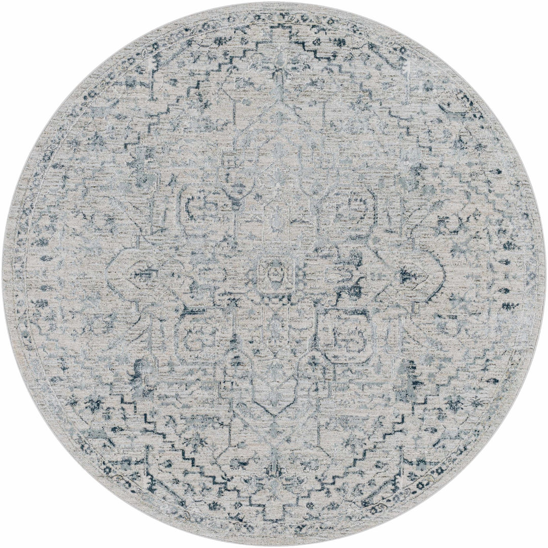 Embsay Traditional Medallion Design Gray And Blue Area Rug - The Rug Decor