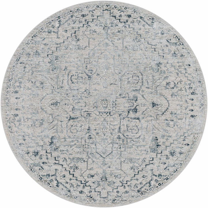 Embsay Traditional Medallion Design Gray And Blue Area Rug - The Rug Decor