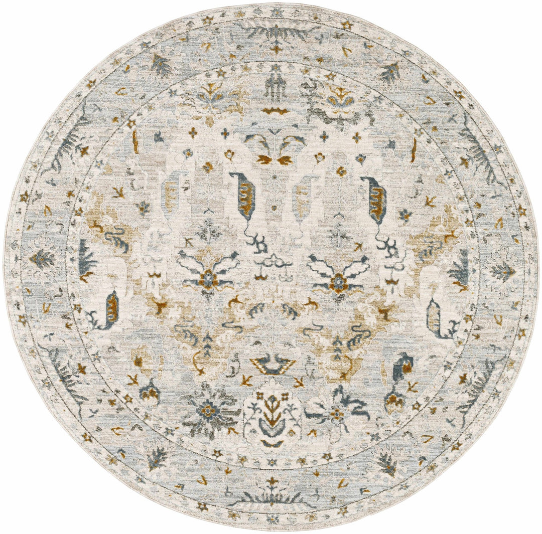 Emile Traditional Style Beige And Teal Rug - The Rug Decor