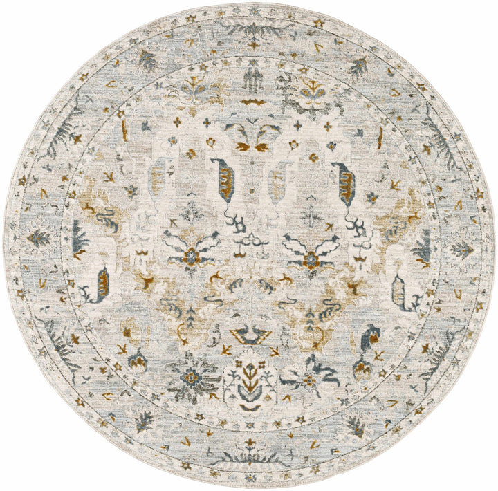 Emile Traditional Style Beige And Teal Rug - The Rug Decor