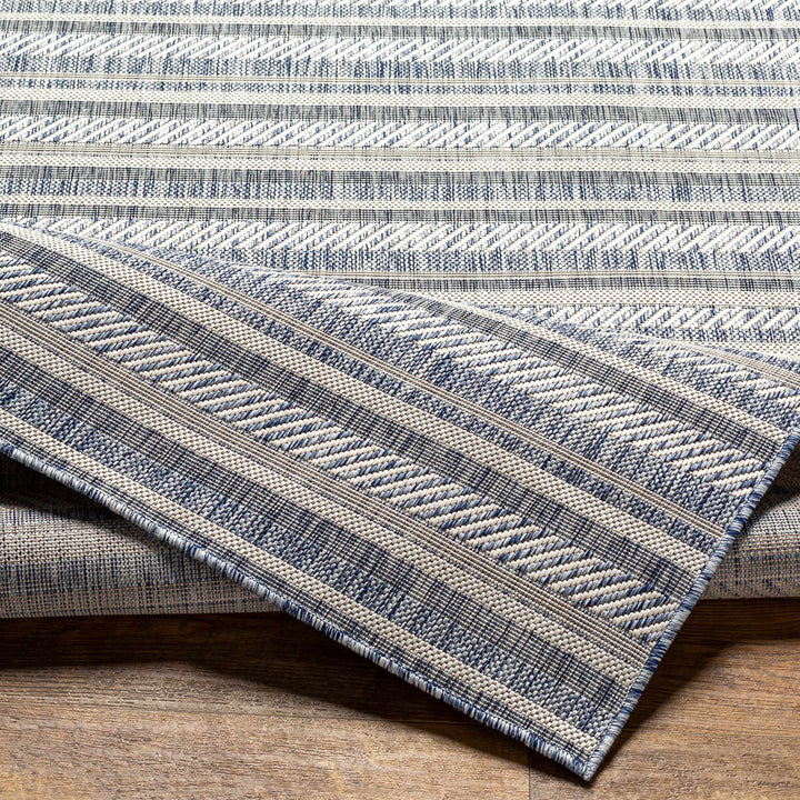 Emirgazi Modern Stripe Pattern Blue Outdoor Rug