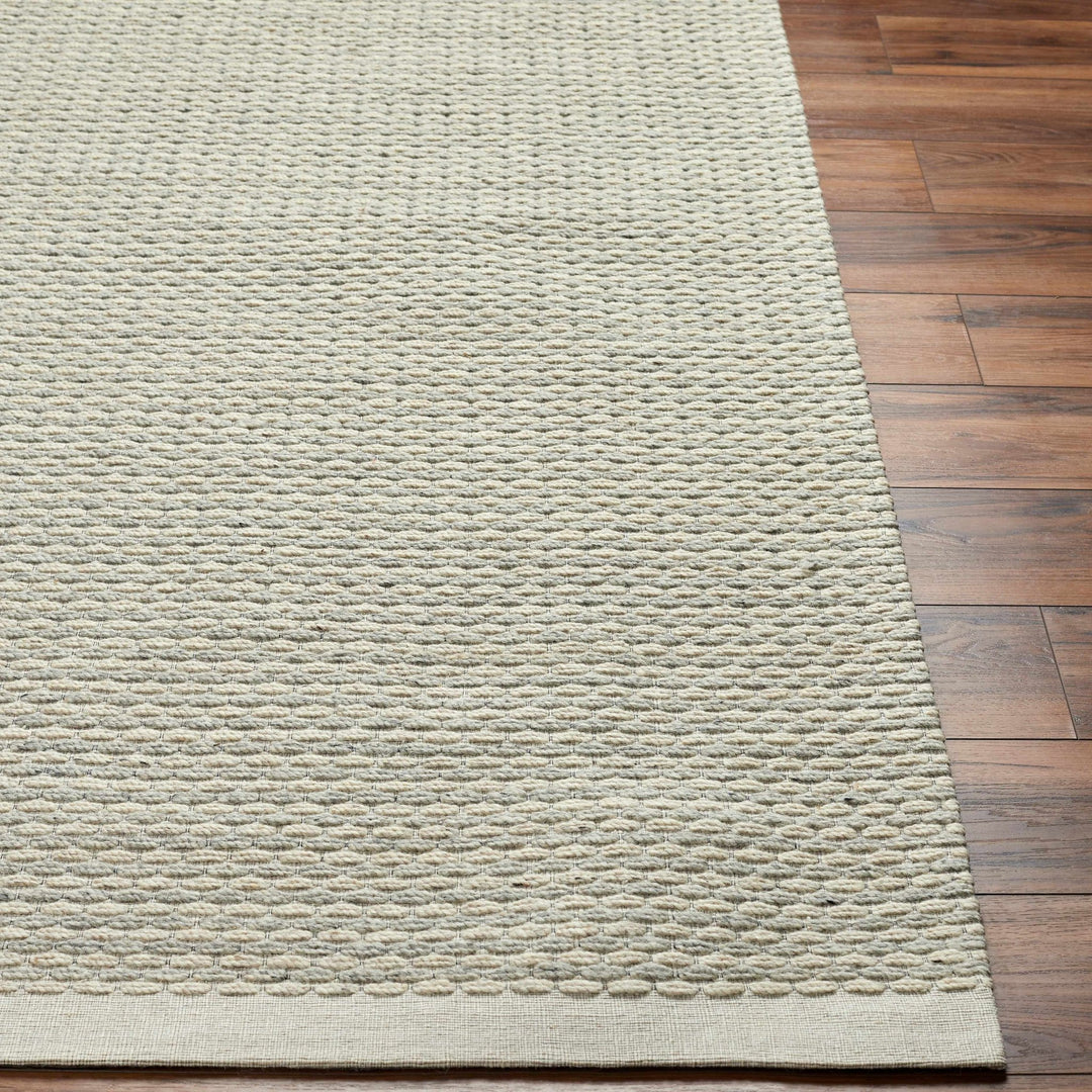 Emlen Beachhouse Traditional Style Beige Hand Woven Wool Rug - The Rug Decor