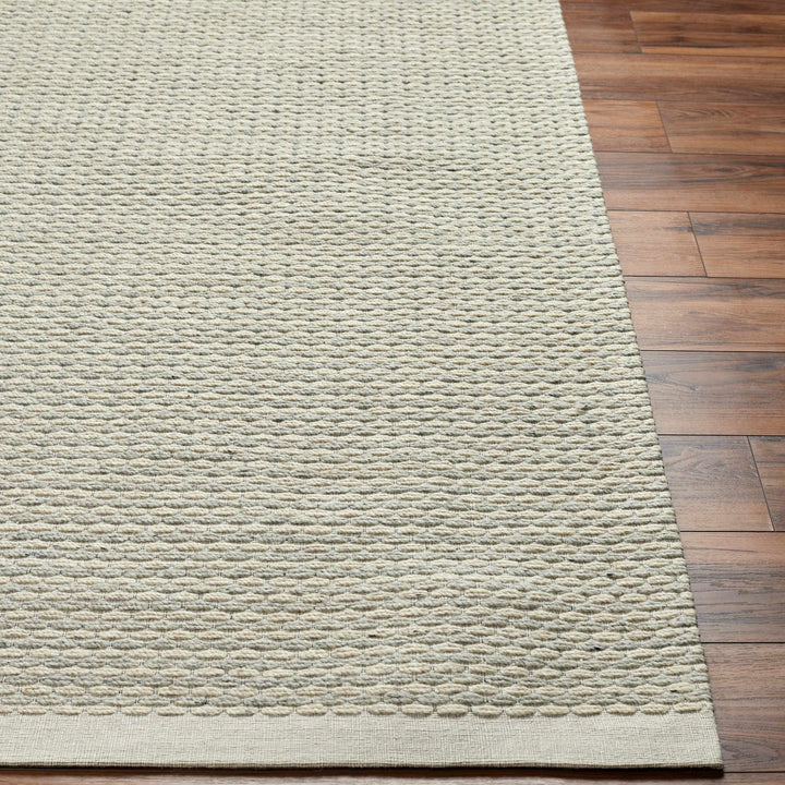 Emlen Beachhouse Traditional Style Beige Hand Woven Wool Rug - The Rug Decor