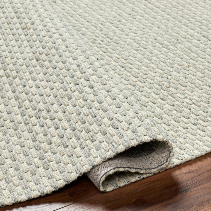 Emlen Beachhouse Traditional Style Beige Hand Woven Wool Rug - The Rug Decor