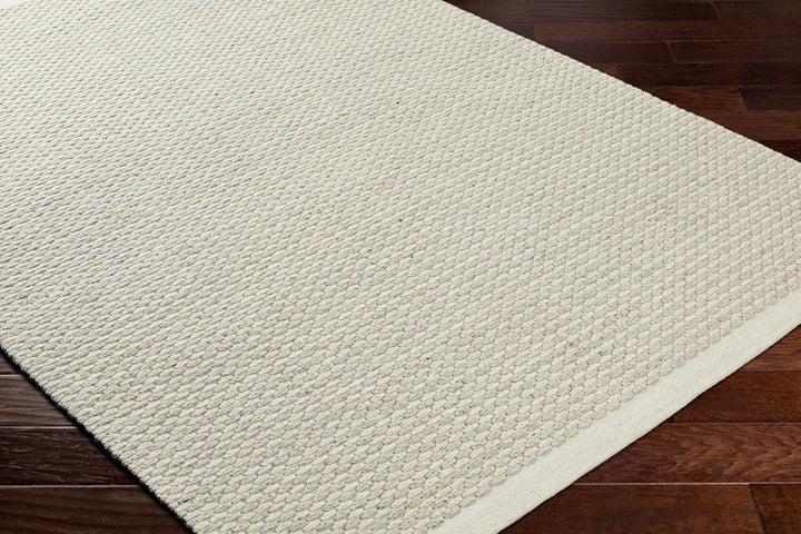 Emlen Beachhouse Traditional Style Beige Hand Woven Wool Rug - The Rug Decor